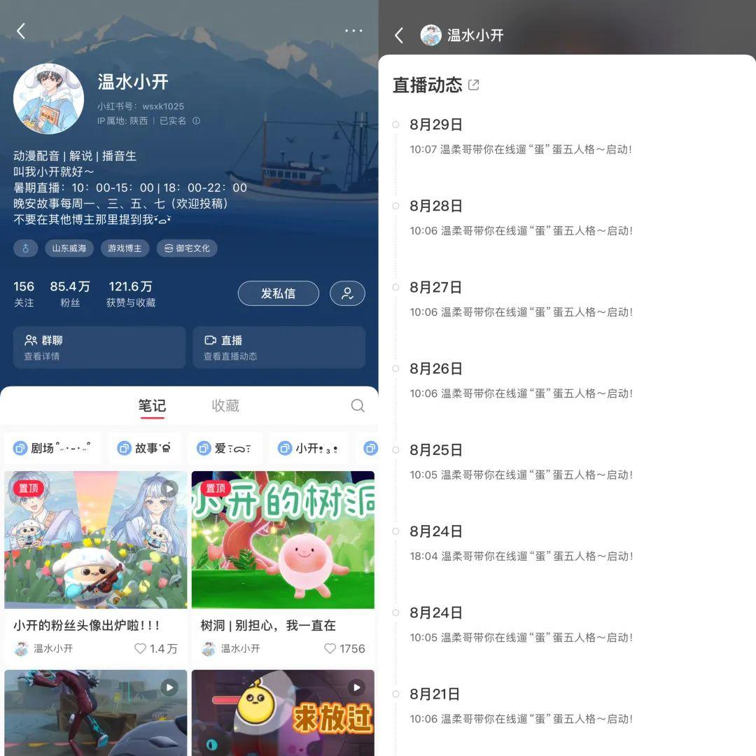 首提“个体视频创作者”，小红书究竟想表达什么？